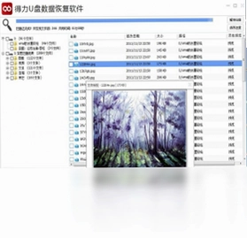 得力U盘数据恢复电脑版预览图