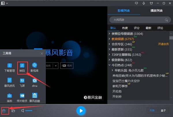 风暴影音浏览器软件官方下载安装界面配图