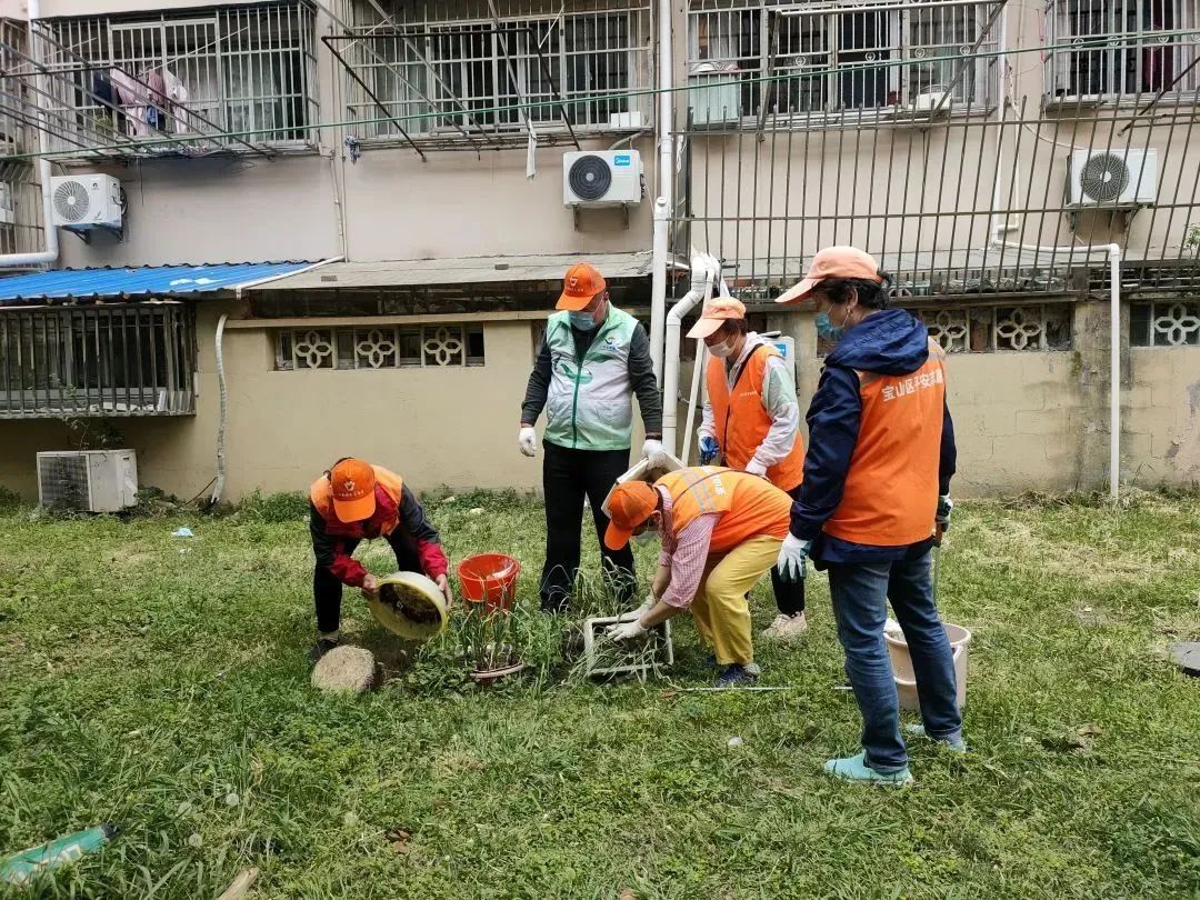 齐心呵护居家环境清洁