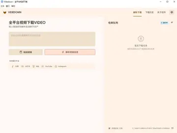 Videdown(跨平台视频下载工具)预览图