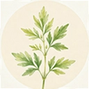 Ұ���ռ�1.0.0 ��׿��