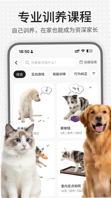 rua它预览图