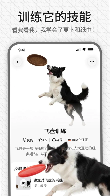 rua它预览图
