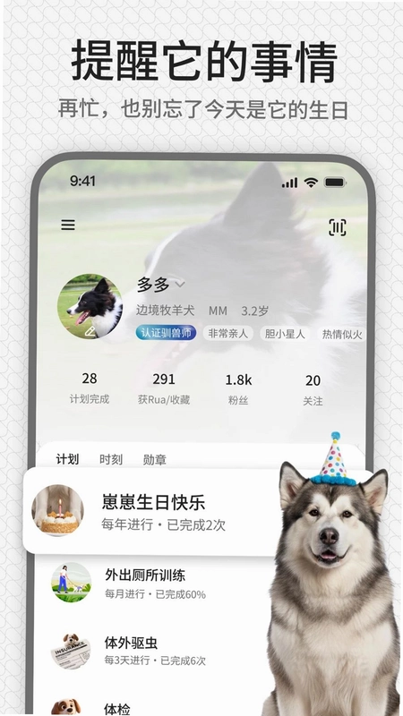 rua它预览图