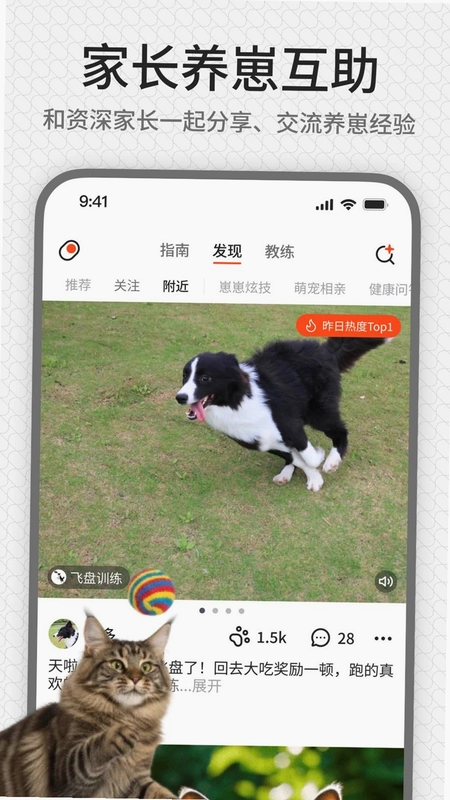 rua它预览图