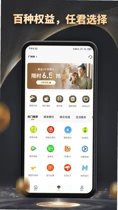 魔方黑卡预览图