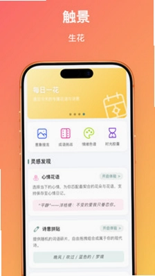 触景生花最新版预览图