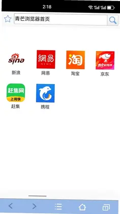 青芒浏览器预览图