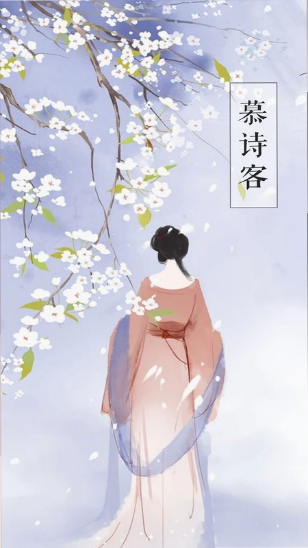 慕诗客预览图