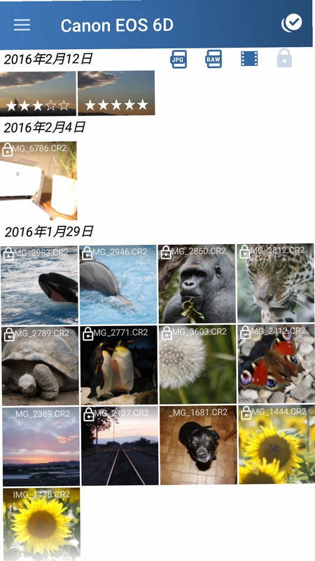 相机连接和控制预览图