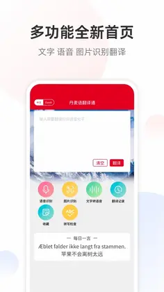 丹麦语翻译预览图