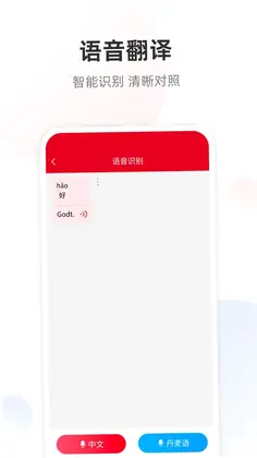 丹麦语翻译预览图
