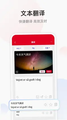 丹麦语翻译预览图