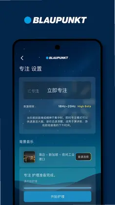 BLAUPUNKTԤ��ͼ
