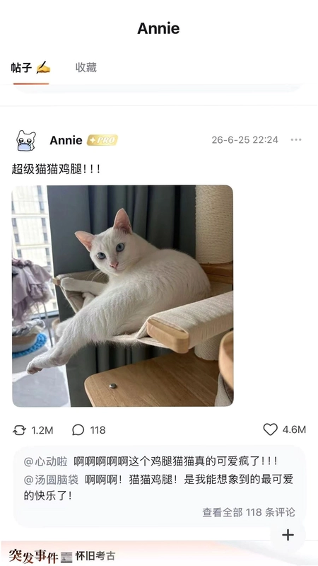 光聚预览图