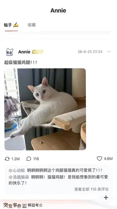 ���Ԥ��ͼ
