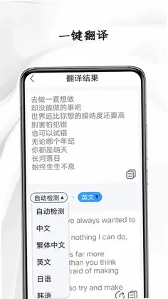 全图文识别预览图