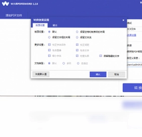 W大师PDF转换器预览图