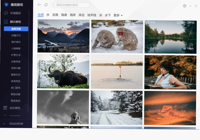 腾讯魔镜壁纸pc版预览图