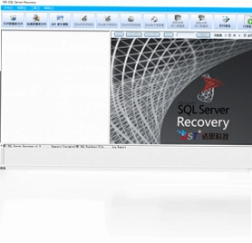 D-Recovery for MS SQL Server(达思SQL数据库修复软件)预览图