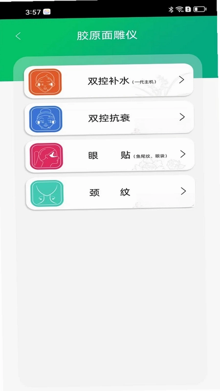 胶原面雕仪预览图