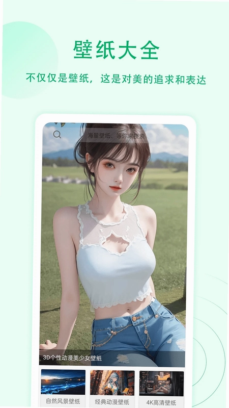 屏幕小组件预览图