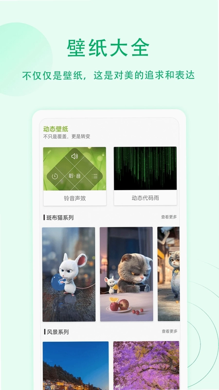 屏幕小组件预览图