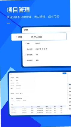 有成报销预览图