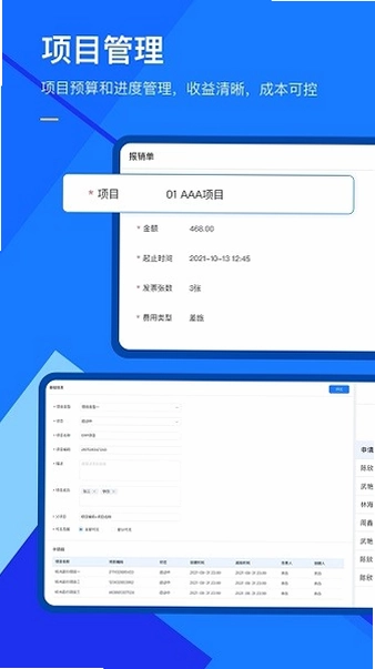有成报销预览图