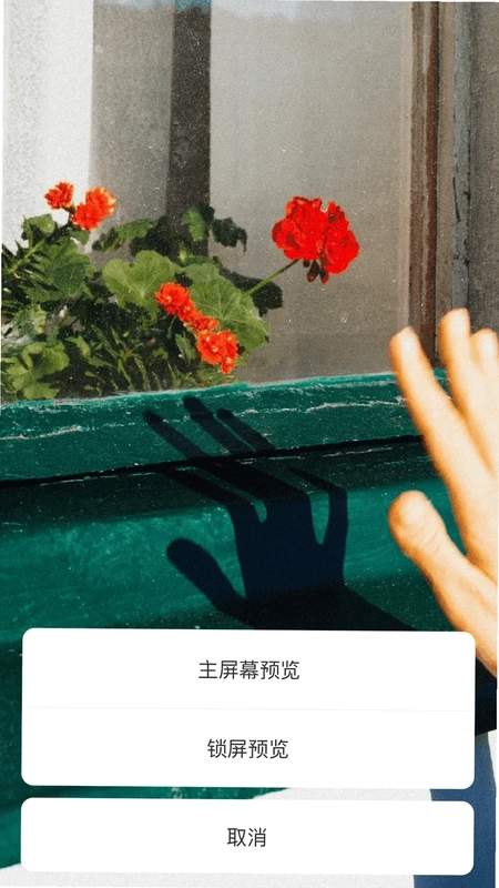 免费主题商店预览图