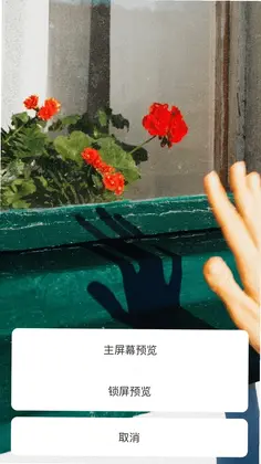 ��������̵�Ԥ��ͼ