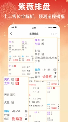 八字排盘助手预览图