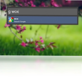 Wox预览图
