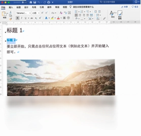 Office 2019 家庭和学生版预览图
