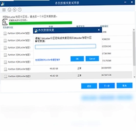 赤友数据恢复预览图