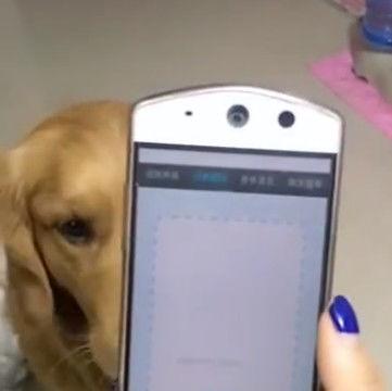 ���ӷ�������Ц��������ͼ