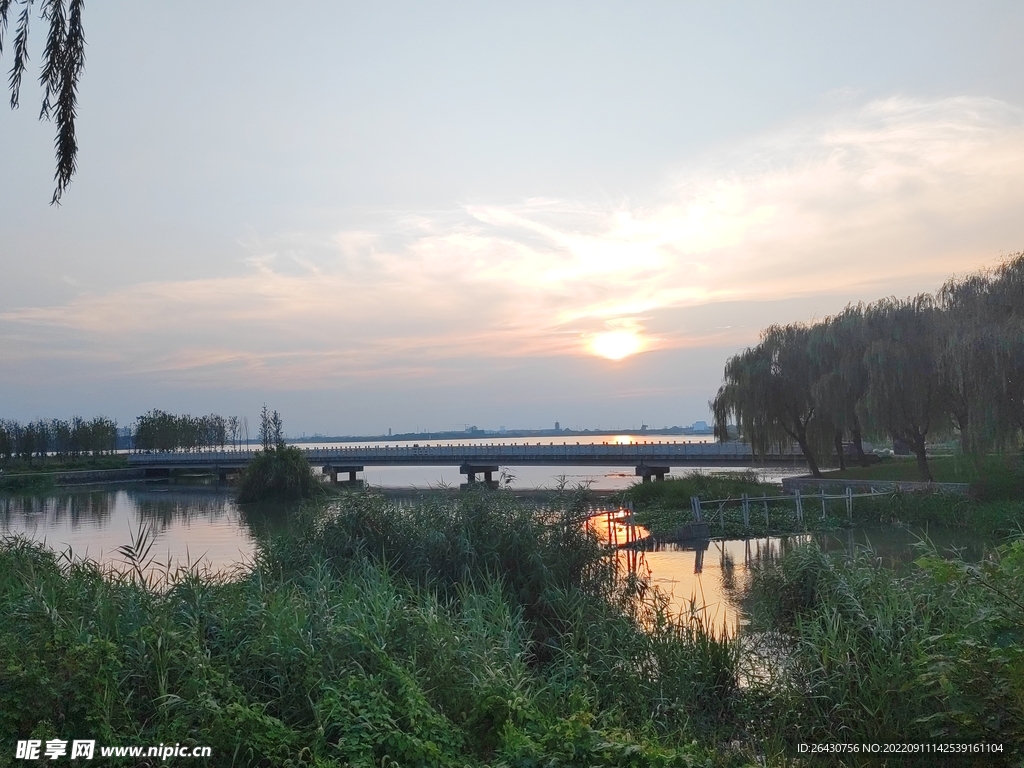 莎车好地方湿地公园傍晚景色