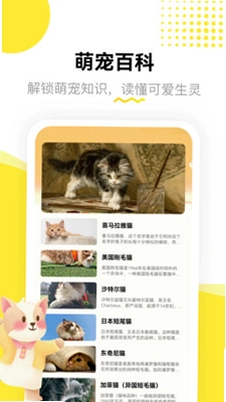 猫猫物语app预览图