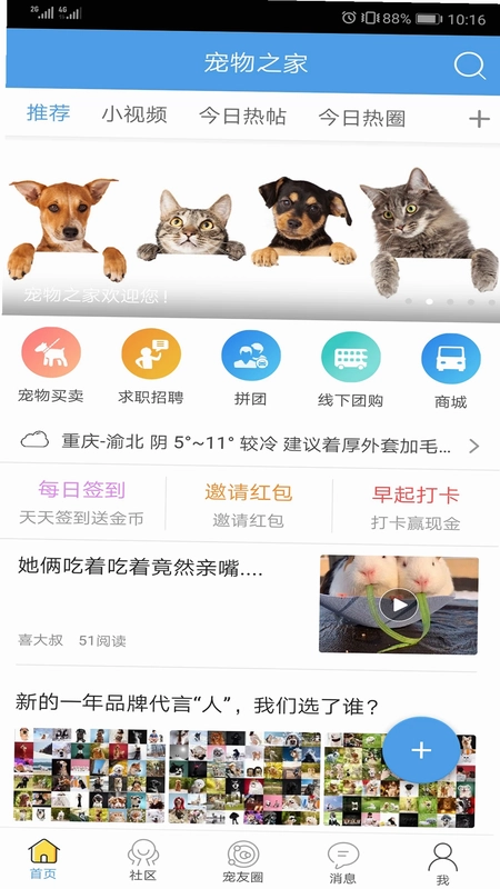 ����֮��Ԥ��ͼ