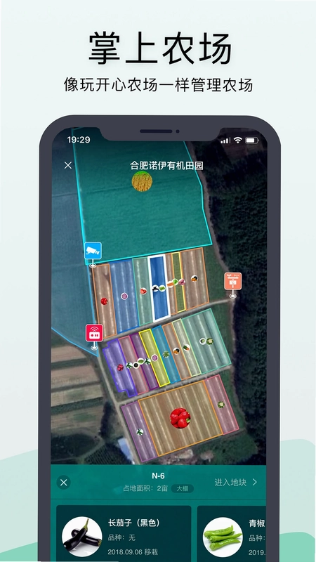 神农口袋预览图