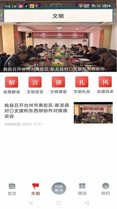 康巴红新龙预览图