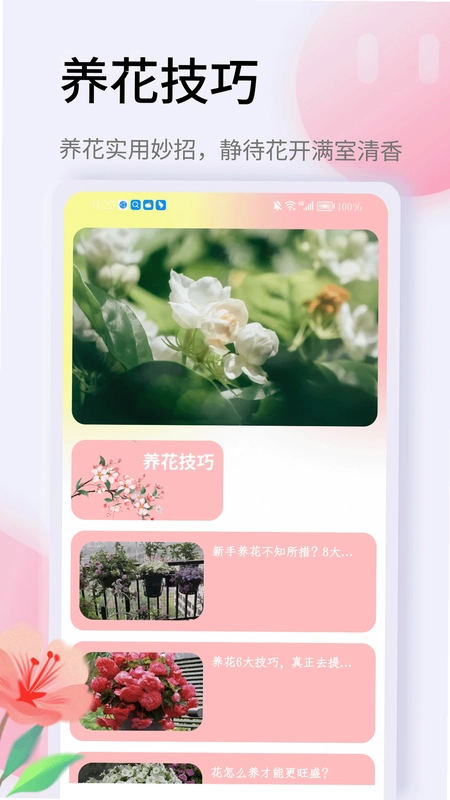 信享花预览图