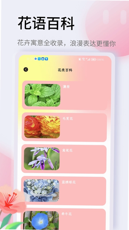 信享花预览图