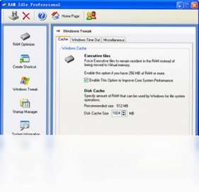 RAM Idle Professional预览图