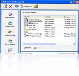 RAM Idle Professional预览图