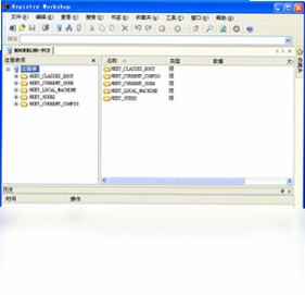 Registry Workshop最新版预览图