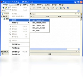 Registry Workshop最新版预览图
