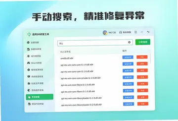 旋风DLL修复工具预览图