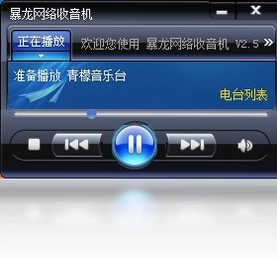 暴龙网络收音机预览图