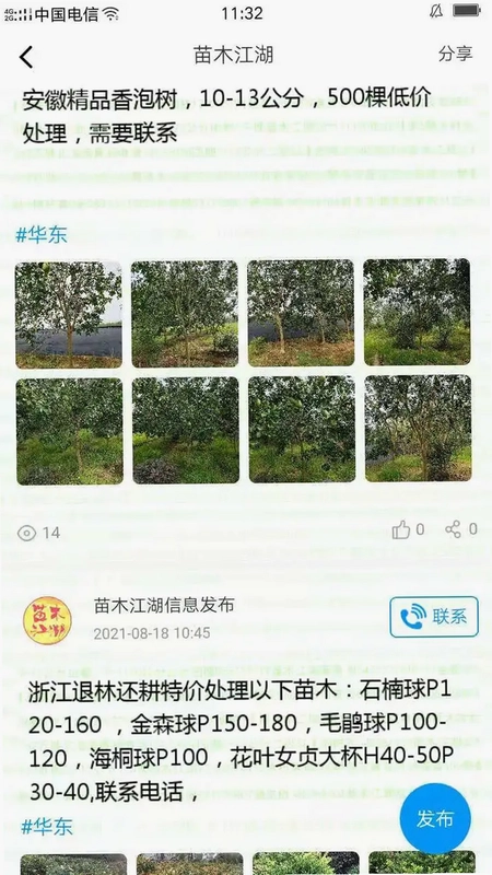 苗木江湖预览图